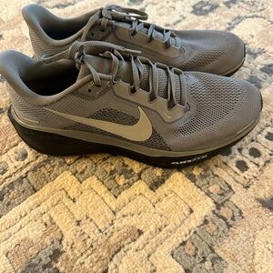 Nike Men's Pegasus 41